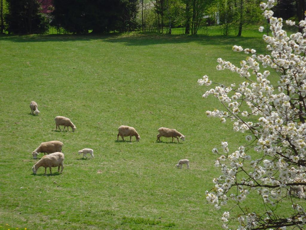 Landhaus Na Zvonici *